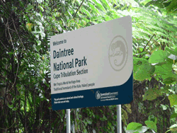 Daintree National Park - Cape Tribulation Section