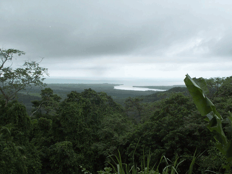 Daintree National Rainforest meets the Great Barrier Reef