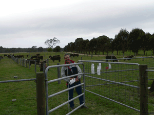 Gary on his Beef Ranch