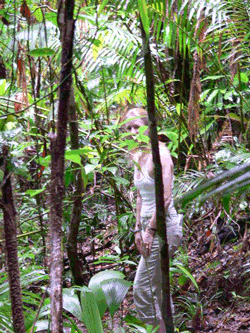 In the Heart of Daintree